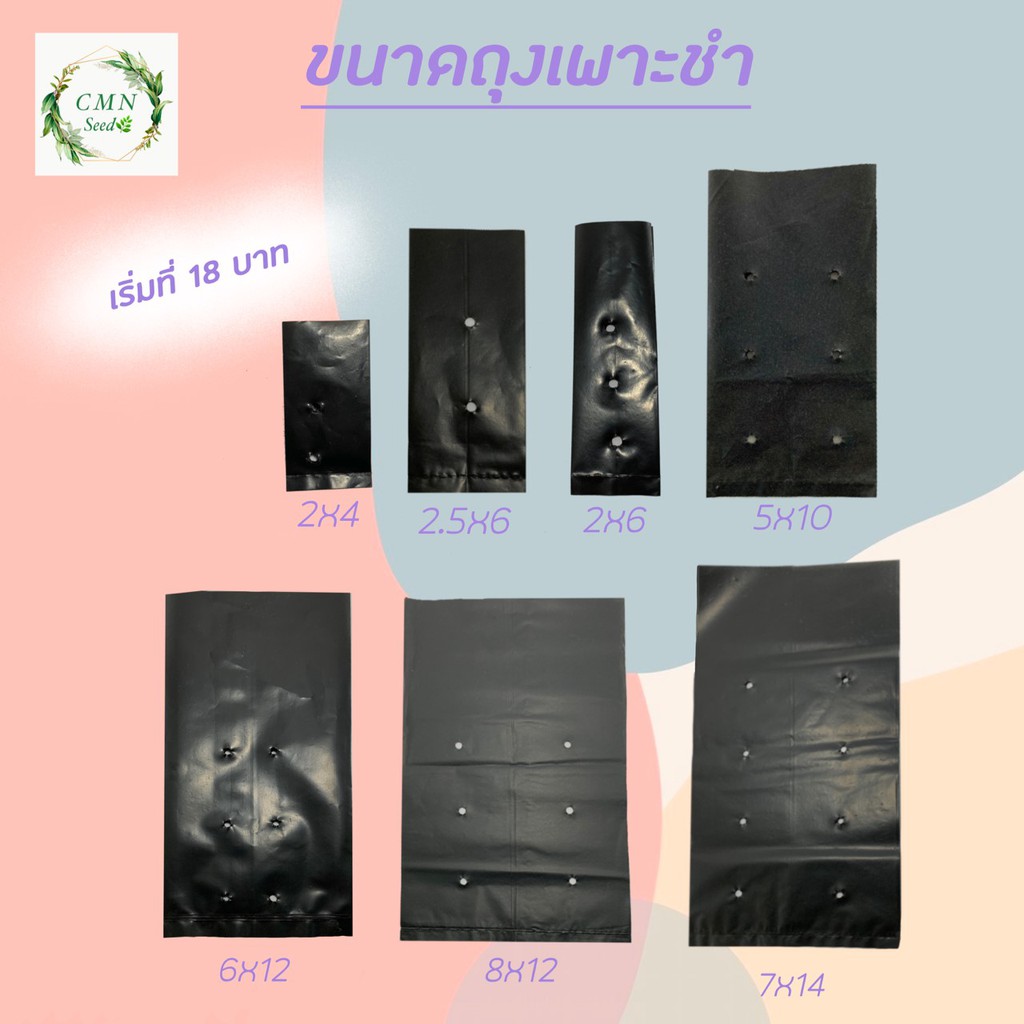 ถุงเพาะชำ-ขนาด-6-12-นิ้ว-ครึ่งกิโล-ได้-25ใบ-แพ็ค-ราคา40บาท