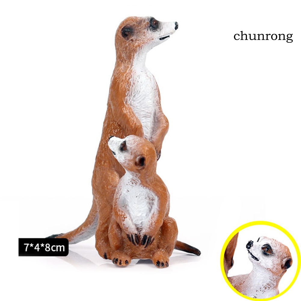 cr-ฟิกเกอร์ตั้งโต๊ะ-meerkat-wild-animal-ของเล่นสําหรับเด็ก