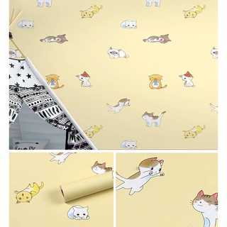 Wallpaper  ลายแมว-สีเหลือง  วอลเปเปอร์สติ้กเกอร์ ติดผนัง โมเดิร์น