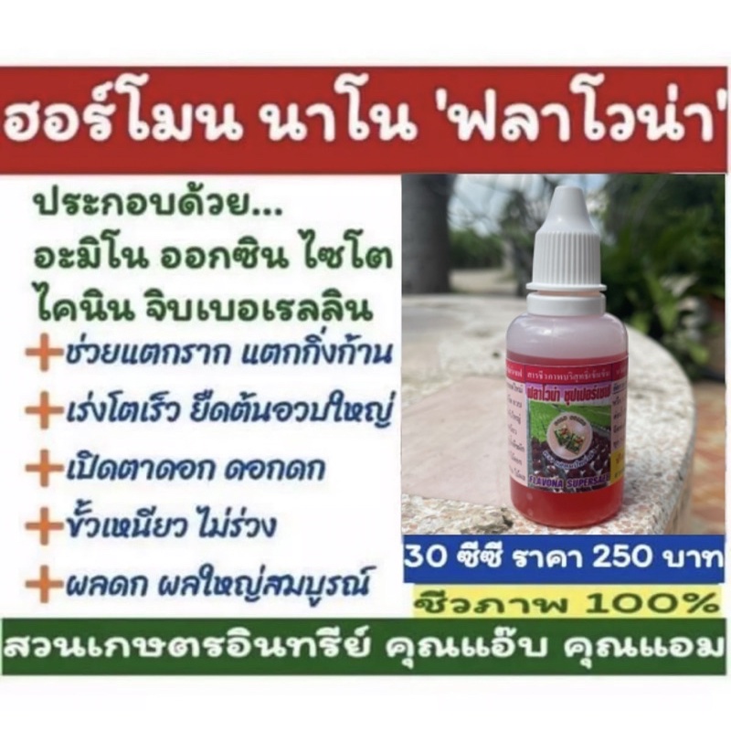 ฮอร์โมน-นาโน-ฟลาโวน่า-ขนาด-30ซีซี-เร่งราก-ขยายโครงสร้าง-เร่งราก-แตกกิ่ง-เร่งดอก-เปิดตาดอก-เร่งผล-ขั้วเหนียว