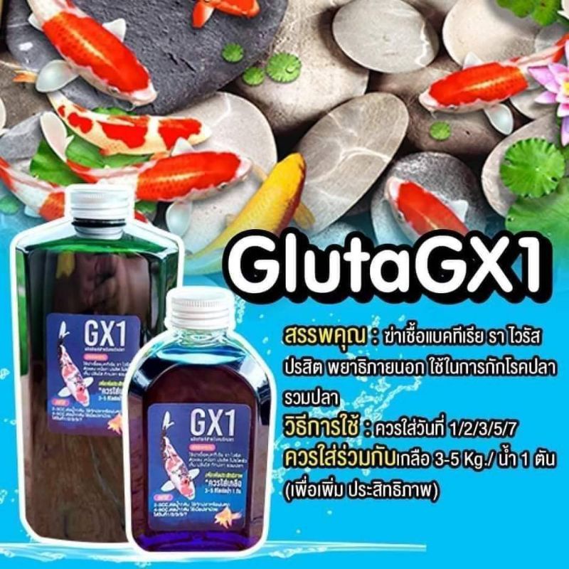 gx1-ยาสำหรับฆ่าเชื้อแบคทีเรีย-ใช้รักษาปลาป่วย-ใช้ในการกักโรคปลา-ใช้ในการรวมปลา-ขนาด-250-ml-และ-1000-ml