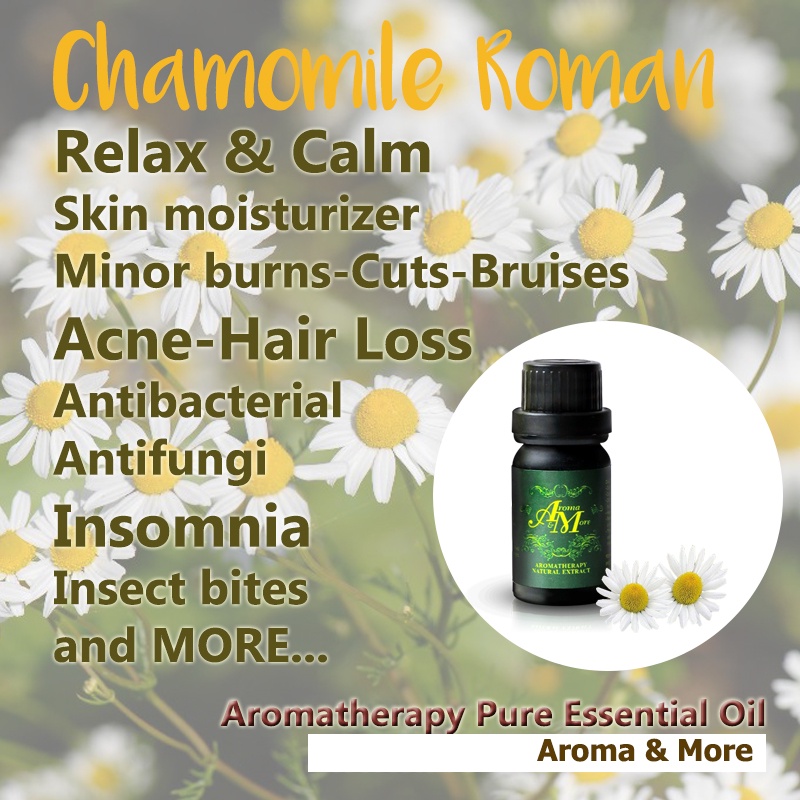 aroma-amp-more-chamomile-roman-essential-oil-100-น้ำมันหอมระเหยคาโมมายล์-โรมัน-100-อังกฤษ-uk-5-10-30ml