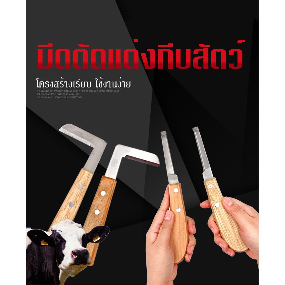 แต่งกีบเท้าสัตว์-1ชิ้น-มีดแต่งกีบ-อุปกรณ์สำหรับตัดแต่งกีบเท้าสัตว์-วัว-โค-แพะ-แกะ-ม้า