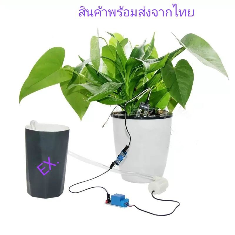 รดน้ำต้นไม้อัตโนมัติ-garden-automatic-watering