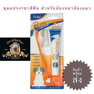 ชุดแปรงสีฟันสัตว์เลี้ยง ชุดยาสีฟันหมาและแมว【พร้อมส่ง】