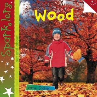 DKTODAY หนังสือ SPARKLERS OUT AND ABOUT:WOOD