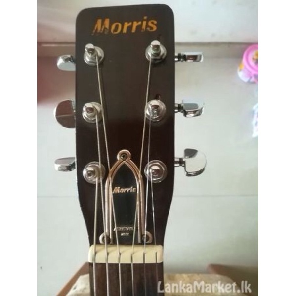 โลโก้หัวกีต้าร์-morris-acoustic-gold-metallic