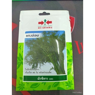 เมล็ดพันธุ์/SORNDAENG  ผักซอง ศรแดง ซองประหยัด W088 #ผักชีลาว แกงอ่อม เมล็ดพันธุ์ ผักชี ผักชีลาว เมล็ดพันธุ์ลูกผสม เมล็ด