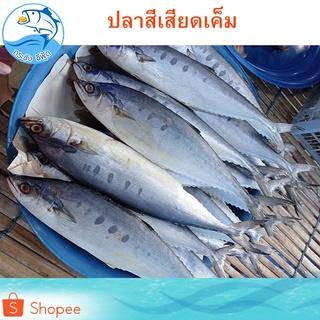 ภาพขนาดย่อของภาพหน้าปกสินค้าปลาสีเสียดเค็ม 1แพ็ค 500กรัม ปลาสีเสียด ปลาเสียด ปลาแดดเดียว ปลาเค็ม ปลาแห้ง ปลาตากแห้ง อาหารทะเล อาหารทะเลแห้ง ของแห้ง จากร้าน krachangseafood_thailand บน Shopee ภาพที่ 5