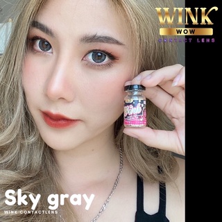 Sky Gray (2) Wink / ATO บิ๊กอาย สีเทา สกาย เน้นขอบดำ Contact Lens ค่าสายตา สายตาสั้น แฟชั่น สายตาปกติ ตาโต โทนแบ๊ว Wow