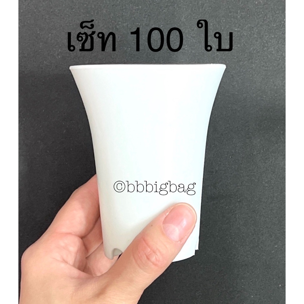 กระถางปากแตร-3-นิ้ว-เซ็ท-100-ใบ-สีขาว-กระถางกระบองเพชร