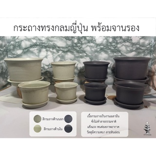 กระถางทรงกลมญี่ปุ่นขนาด พร้อมจานรอง พร้อมส่งทุกรูปแบบ กระถางใส่ Cactus