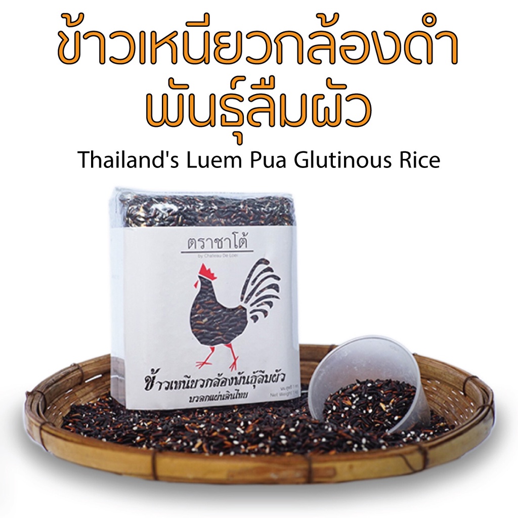 ข้าวลืมผัว-ข้าวเหนียวดำลืมผัว-ข้าวเหนียวลืมผัว-ข้าวเหนียวกล้องพันธุ์ลืมผัว-luem-pua-glutinous-purple-rice