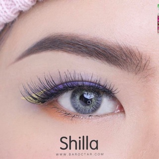 Shilla Gray สีเทา ไร้ขอบ สายฝอ ☘️ Pretty Doll ค่าอมน้ำ38% Contact Lens Mini คอนแทคเลนส์ ตาฝรั่ง