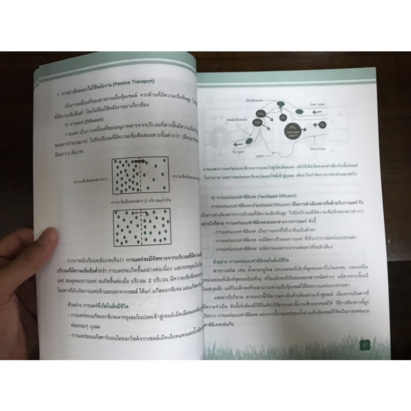 o-net-ม-6-วิชาชีวะวิทยา