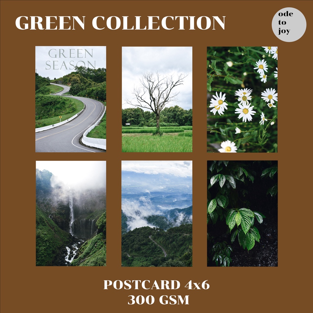 postcard-4x6-โปสการ์ดตกแต่งห้อง-ติดผนัง-รูปธรรมชาติ-green-collection