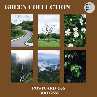 Postcard 4x6 โปสการ์ดตกแต่งห้อง ติดผนัง รูปธรรมชาติ [GREEN COLLECTION]