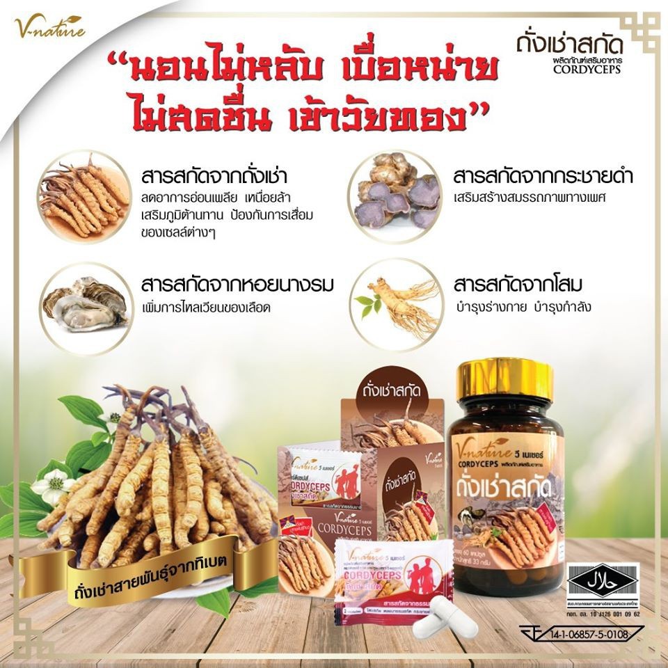 พร้อมส่ง-v-nature-ถั่งเช่า-คอดีเซ็ปส์-จากทิเบต-cordyceps-ซี-เนเชอร์-ถังเช่า-artiscent-มหัศจรรย์แห่งสมุนไพรจักรพรรดิ