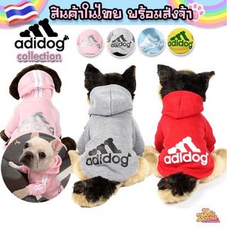 สินค้า พร้อมส่ง เสื้อสุนัข เสื้อแมว adidog แดส ราคาถูก ร้านคนไทย ส่งจากไทย ส่งของทุกวัน ส่งไวมาก เสื้อสัตว์เลี้ยง