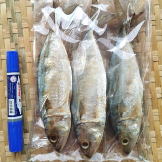 ภาพหน้าปกสินค้าปลาทูมัน(เค็มน้อย)ตัวใหญ่พิเศษ ถูกที่สุด ที่เกี่ยวข้อง