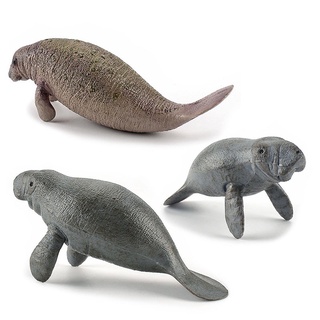 ❤การขายส่งโรงงานอุตสาหกรรม❤การจำลองสำหรับเด็ก Solid Zoo Ocean World Manatee Marine Animal Model Set Static Model Ornament Childrens Cognitive Playhouse Toys → Fast Shipping← Childrens Gifts