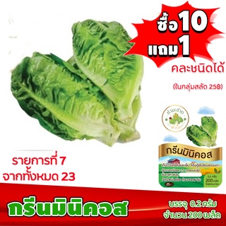 {{ส่งKerryมีคู่มือ] เมล็ดพันธุ์ กรีนมินิคอส Green mini cos ประมาณเมล็ด （นี่มันเมล็ดพืช ไม่ใช่พืช!）