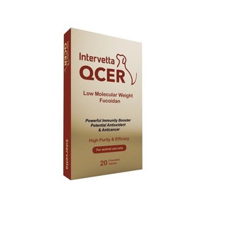 สินค้า QCER บรรจุ20เม็ด ผลิตภัณฑ์ต่อต้านมะเร็งและเสริมภูมิคุ้มกันให้สมดุลย์