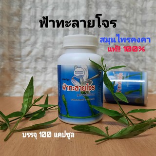 สินค้า ฟ้าทะลายโจรแคปซูล สมุนไพรคงคา ตราหมอเอี้ยง 100 แคปซูล