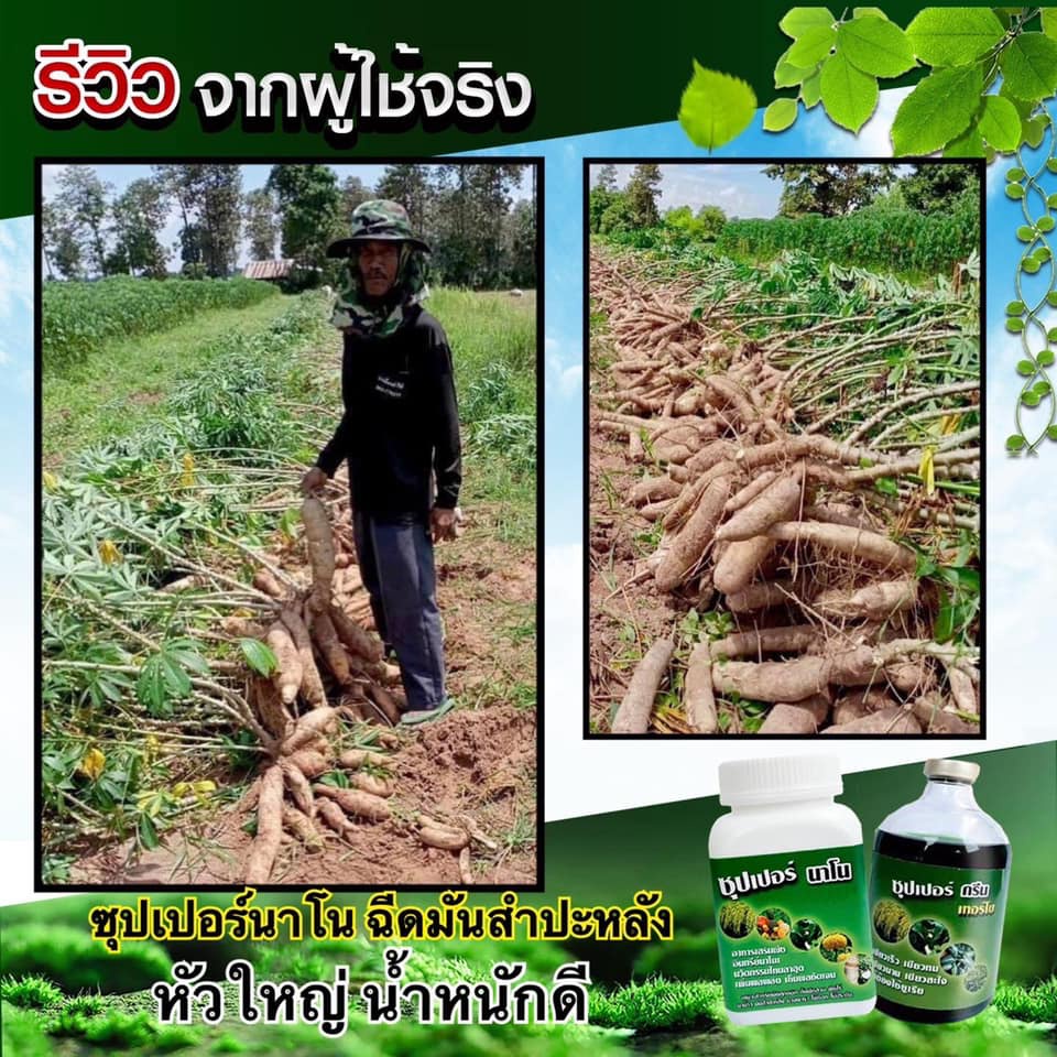 ส่งฟรี-ซุปเปอร์นาโน-2-แถม-1-ชุด-อาหารพืชทางใบ