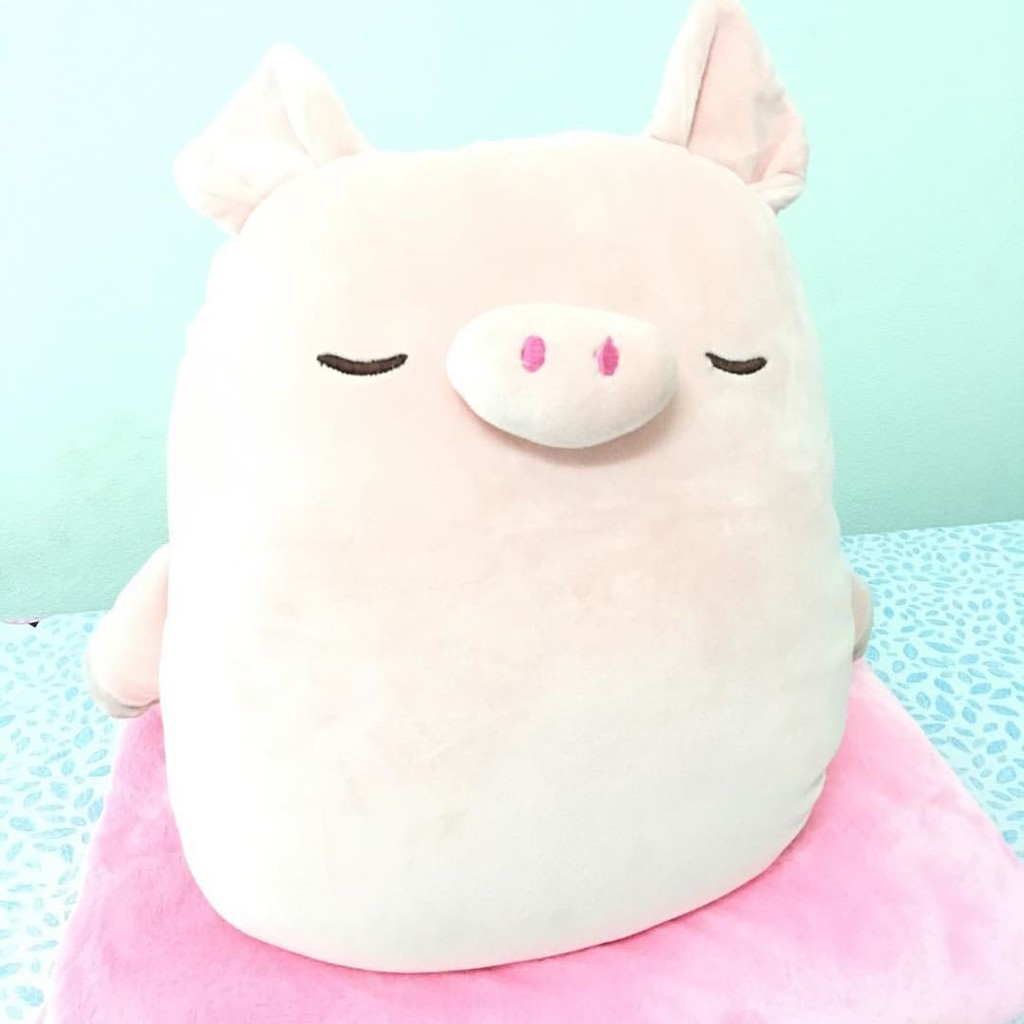 ตุ๊กตาผ้าห่มน่ารักขนนิ่ม-น่ารักมากกก