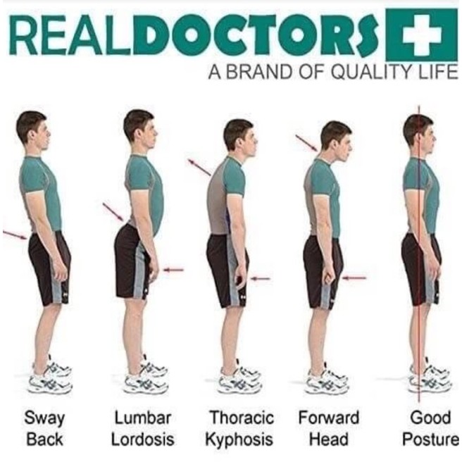 real-doctors-เข็มขัดพยุงหลัง-พลังแม่เหล็ก