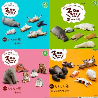 (แท้/มือ2) Takara Tomy Pandas ana Zoo Zzz Sleeping Animal Oyasumi P2-P3,Brown bear,CAT NEKO สัตว์หลับ