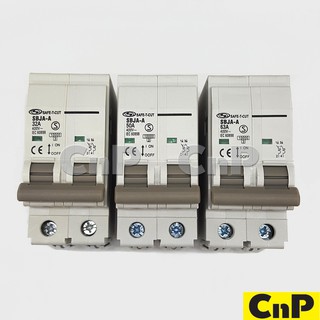 SAFE-T-CUT เมนเซอร์กิตเบรกเกอร์ Main Circuit Breaker 2P 32A - 63A รุ่น SBJA-A