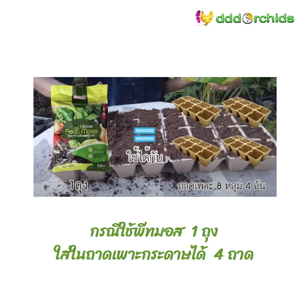 ถาดเพาะเมล็ด-ทำจากกระดาษ-ใน-1-ถาด-มี-8-หลุม-ขายเป็นชุด-12-ถาด-ร้าน-dddorchids