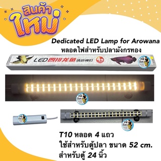 Dedicated LED Lamp for Arowana หลอดไฟสำหรับปลามังกรทอง T10 หลอด 4 แถวใช้สำหรับตู้ปลา ขนาด 52 cm. สำหรับตู้ 24 นิ้ว