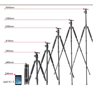 ภาพขนาดย่อของภาพหน้าปกสินค้าTriopo T258 Professional Tripod Monopod ขาตั้งกล้อง ทำเป็นขาเดี่ยวได้ พร้อมหัวบอล จากร้าน fotostuff บน Shopee