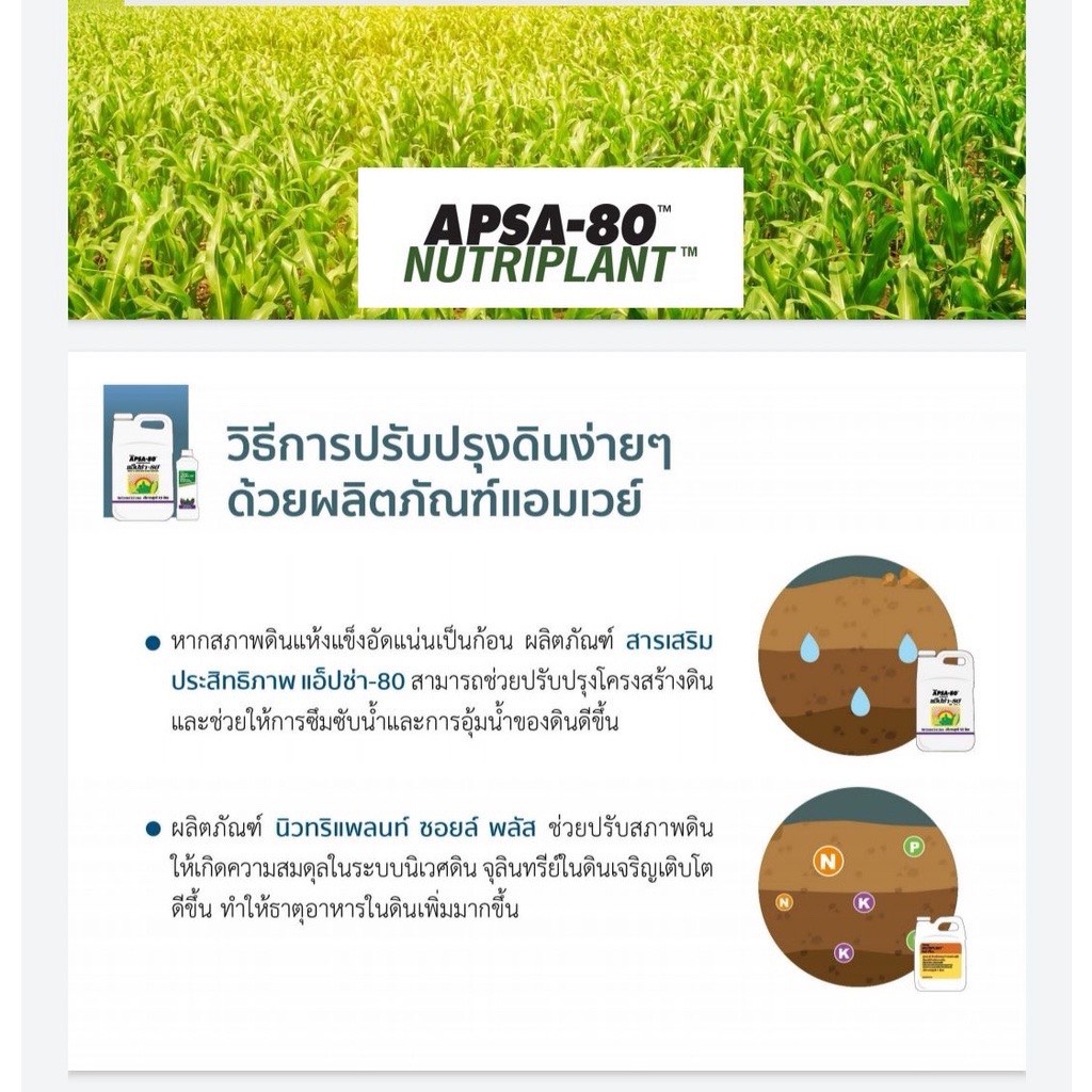 แอ็ปซ่า-80-สารเสริมประสิทธิภาพ-9-5-ลิตร-สารเสริมประสิทธิภาพชนิดเข้มข้น-ของแท้ช็อปไทย-100