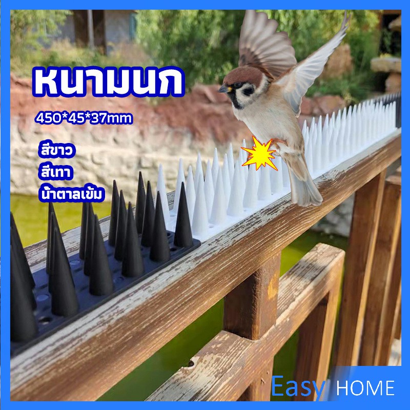 หนามนก-อุปกรณ์ไล่นก-น้ำยาไล่นก-หนามที่กั้นไม่ให้แมวเข้ามา-bird-thorn