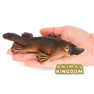 Animal Kingdom - โมเดลสัตว์ ตุ่นปากเป็ด แดง ขนาด 17.50 CM (จากสงขลา)