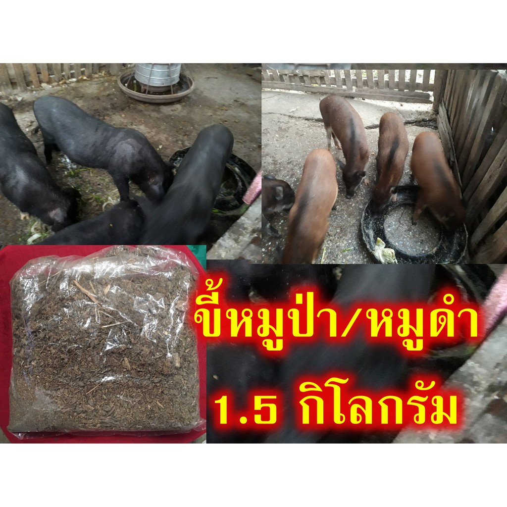 ขี้หมู-มูลหมู-จากหมูดำ-หมูป่า-แห้ง-จำนวน-1-5-กิโลกรัม