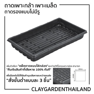 ภาพขนาดย่อของภาพหน้าปกสินค้าถาดเพาะกล้า ถาดเพาะชำ ถาดเพาะเมล็ด หนา1mm 0.8mm 0.6mm 15-200 หลุม จากร้าน claygardenthailand บน Shopee