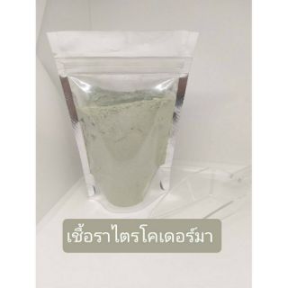 สินค้า (100 กรัม) เชื้อราไตรโคเดอร์มา (ผสมน้ำใช้งานได้เลย)