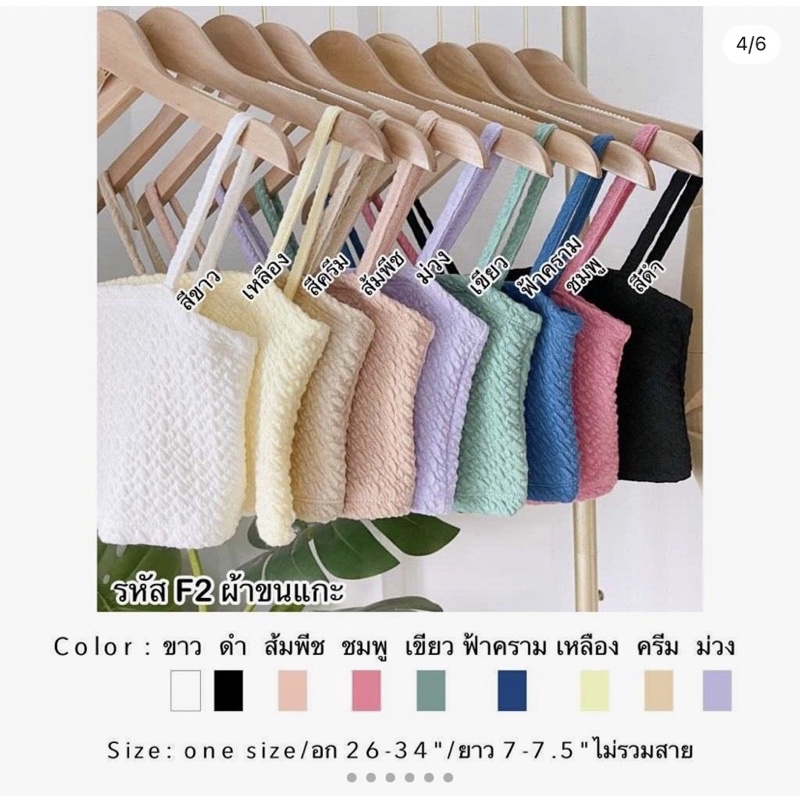 pastel-crop-ครอปสายเดี่ยว-สีพาสเทล-หวานเอยหวานใจ-สวยสบัด-มาแรงมาก-ต้านไม่อยู่เลยจริงๆ