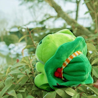 ตุ๊กตากบอินดี้ Travel frog ขนาด 20 cm