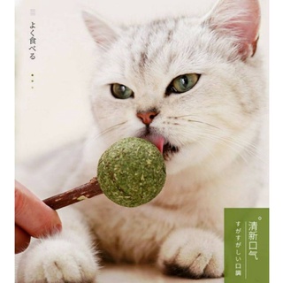 ภาพหน้าปกสินค้าcatnip แมว catnip อมยิ้มแมว ชิ้นละ 19 บาท ซึ่งคุณอาจชอบสินค้านี้