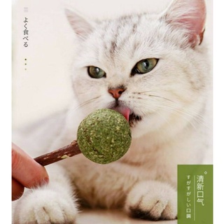 catnip แมว catnip อมยิ้มแมว ชิ้นละ 19 บาท