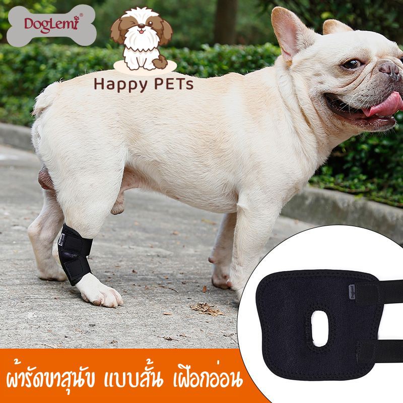 ภาพหน้าปกสินค้าHappy PETs  DogLemi ผ้ารัดขาสุนัข แบบสั้น สำหรับสุนัขพันธุ์ขาสั้น บรรเทาอาการข้อขาอักเสบ จากร้าน happypets2020 บน Shopee