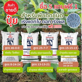 🔥ซื้อ5แถมฟรี1🔥ปุ๋ยเคมี​ ปุ๋ยบํารุงใบ​ บํารุงต้นไม้​ กระท่อม​ ดอกไม้  46-0-0 15-15-15  25-7-7 8-24-24 16-16-16 ยูเรีย