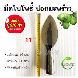 มีดปอกมะพร้าว มีดใบโพธิ์ เสียมปอกมะพร้าว เหล็กหนา คมนาน เหล็กหนาทนทาน