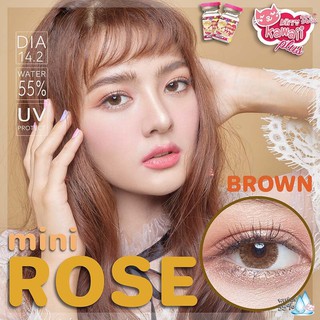 mini Rose Brown (1)(2) Kitty Kawaii มินิ สีน้ำตาล น้ำตาล ทรีโทน Bigeyes คอนแทคเลนส์ ค่าสายตา ค่าอมน้ำสูง สายตาสั้น